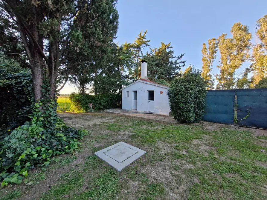 Immagine 3 di Porzione di casa in vendita  a Piombino