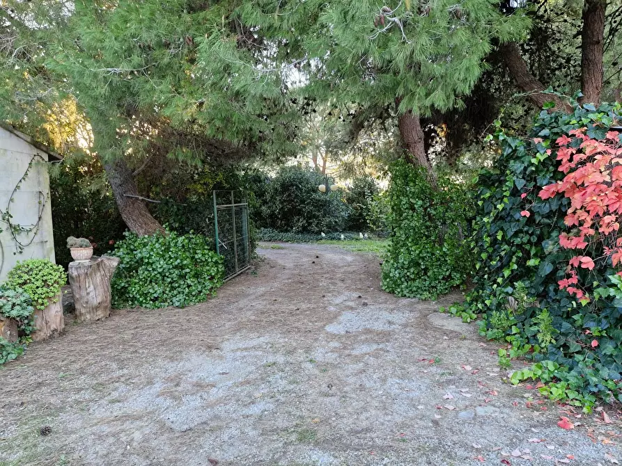 Immagine 15 di Porzione di casa in vendita  a Piombino