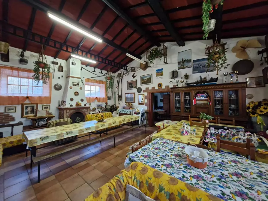 Immagine 21 di Porzione di casa in vendita  a Piombino