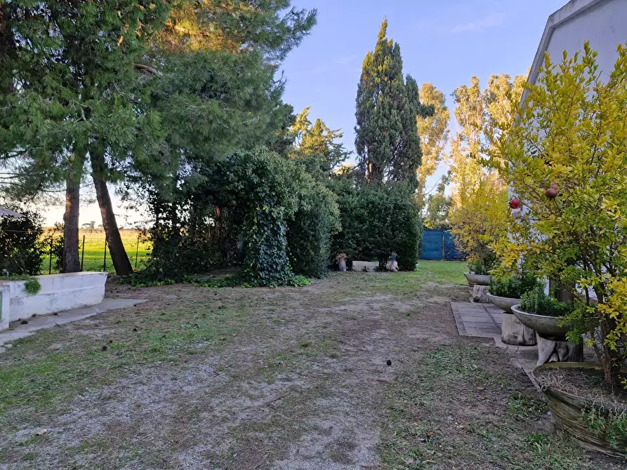 Immagine 19 di Porzione di casa in vendita  a Piombino