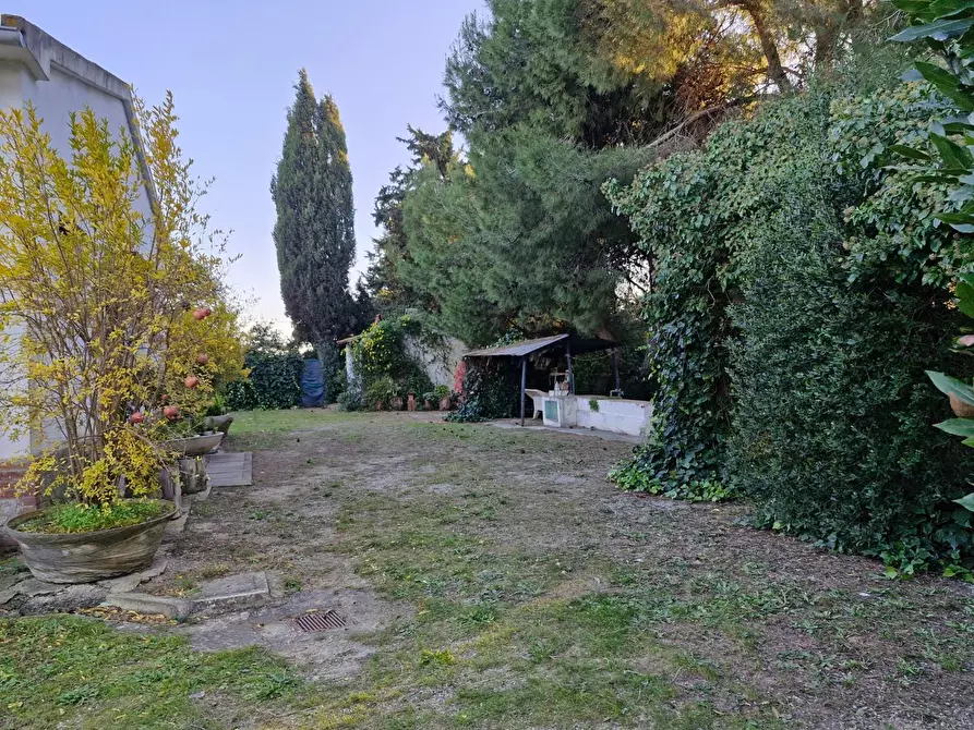 Immagine 10 di Porzione di casa in vendita  a Piombino