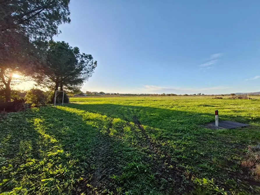 Immagine 4 di Porzione di casa in vendita  a Piombino