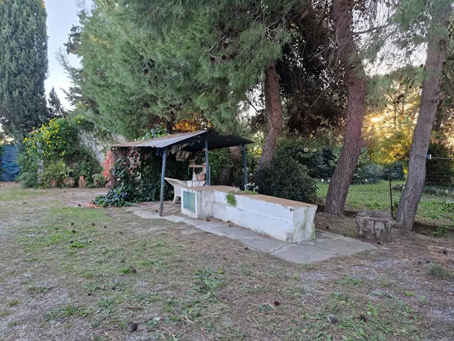 Immagine 13 di Porzione di casa in vendita  a Piombino