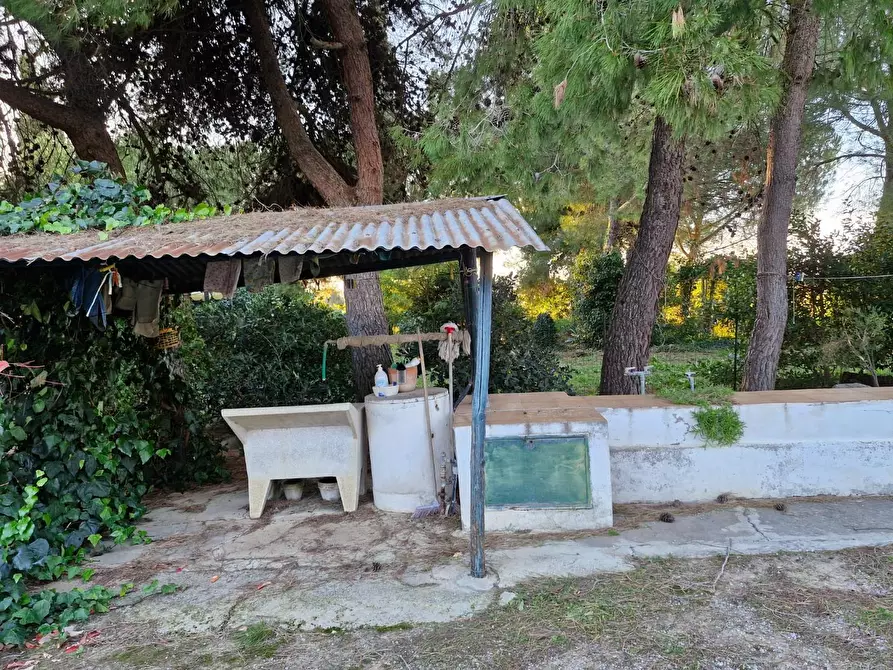 Immagine 14 di Porzione di casa in vendita  a Piombino