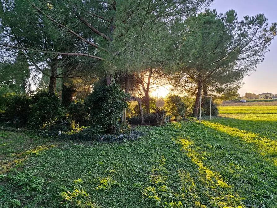Immagine 37 di Porzione di casa in vendita  a Piombino