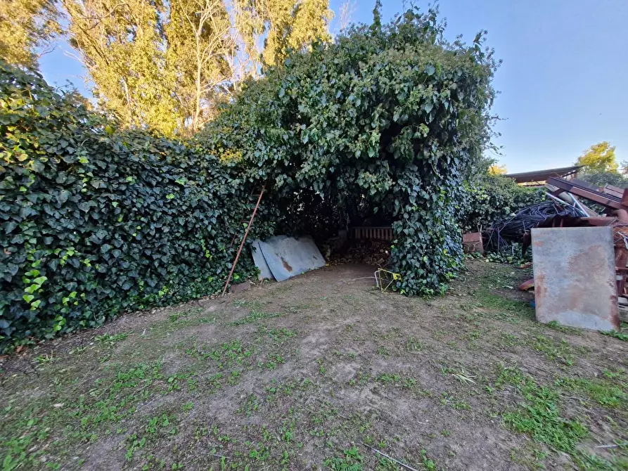 Immagine 9 di Porzione di casa in vendita  a Piombino