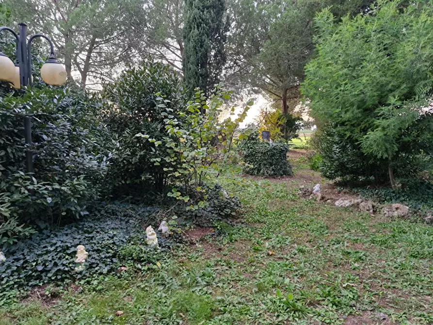 Immagine 35 di Porzione di casa in vendita  a Piombino