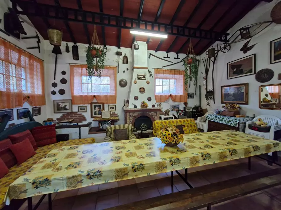 Immagine 22 di Porzione di casa in vendita  a Piombino