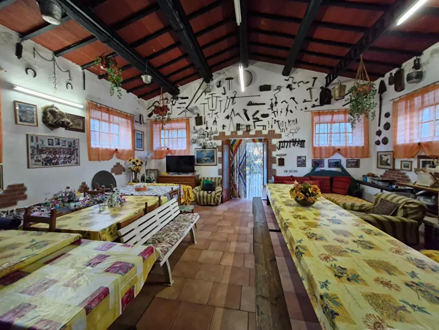 Immagine 23 di Porzione di casa in vendita  a Piombino