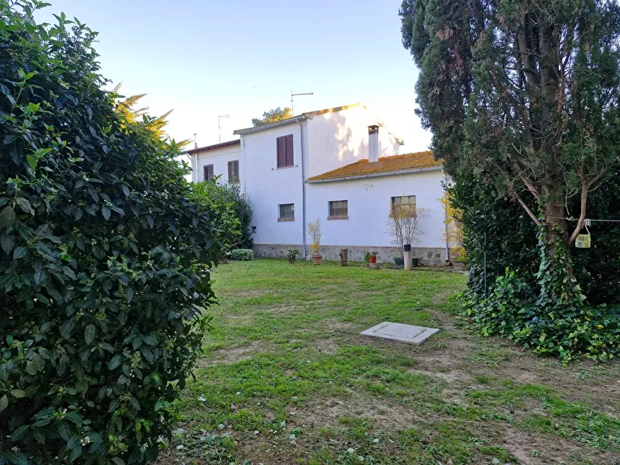 Immagine 6 di Porzione di casa in vendita  a Piombino