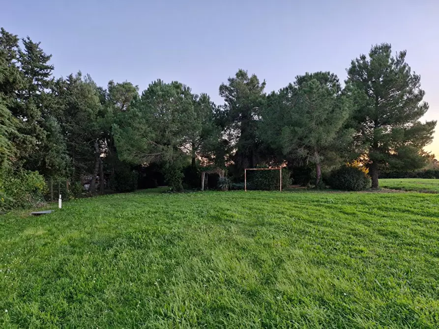 Immagine 39 di Porzione di casa in vendita  a Piombino