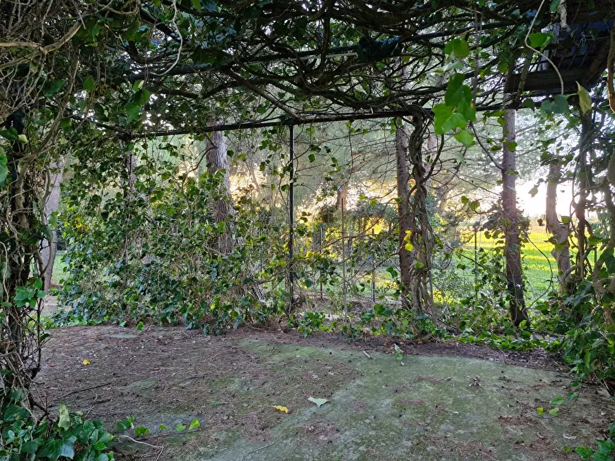 Immagine 11 di Porzione di casa in vendita  a Piombino