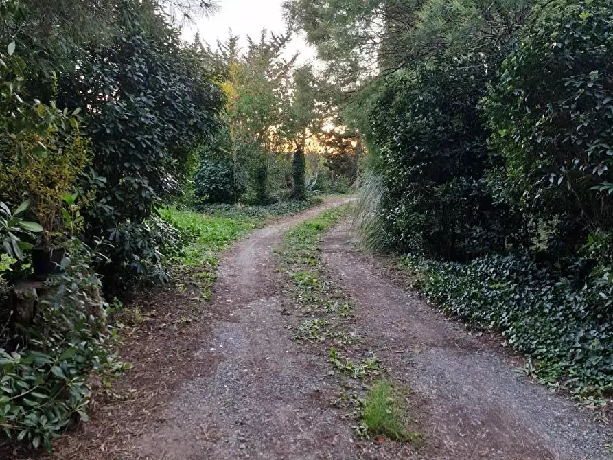 Immagine 34 di Porzione di casa in vendita  a Piombino