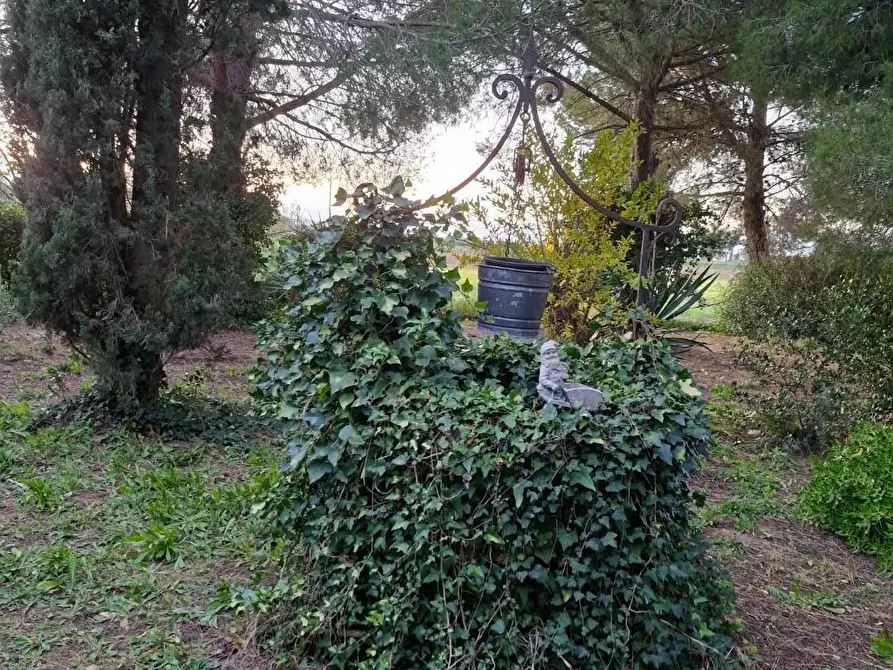 Immagine 40 di Porzione di casa in vendita  a Piombino