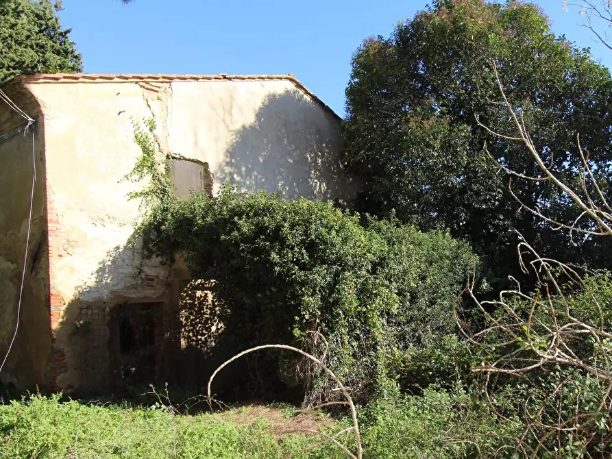 Immagine 5 di Rustico / casale in vendita  a Crespina Lorenzana