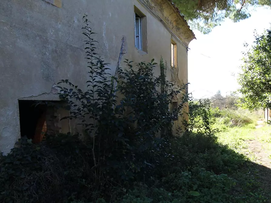 Immagine 2 di Rustico / casale in vendita  a Crespina Lorenzana