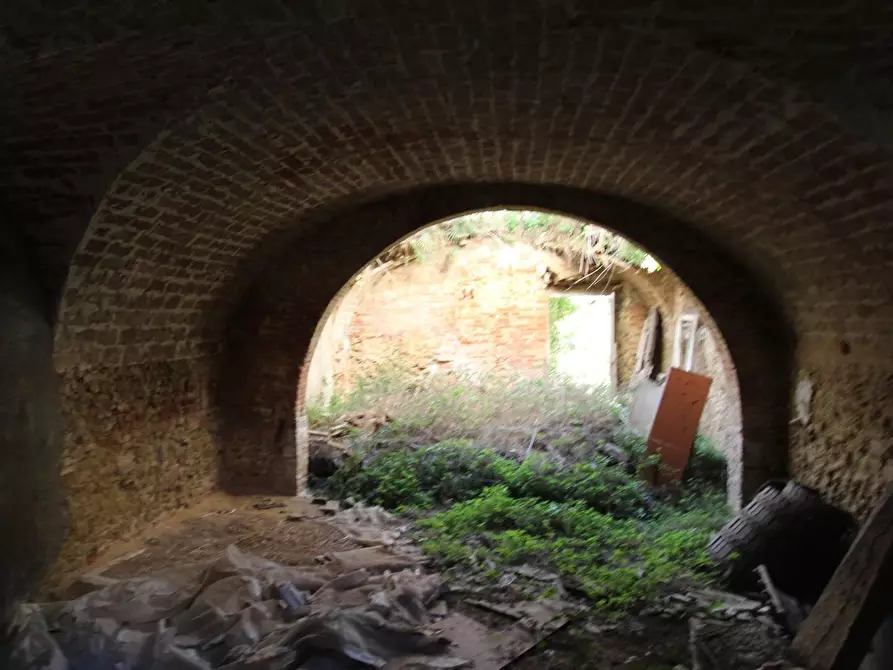 Immagine 6 di Rustico / casale in vendita  a Crespina Lorenzana