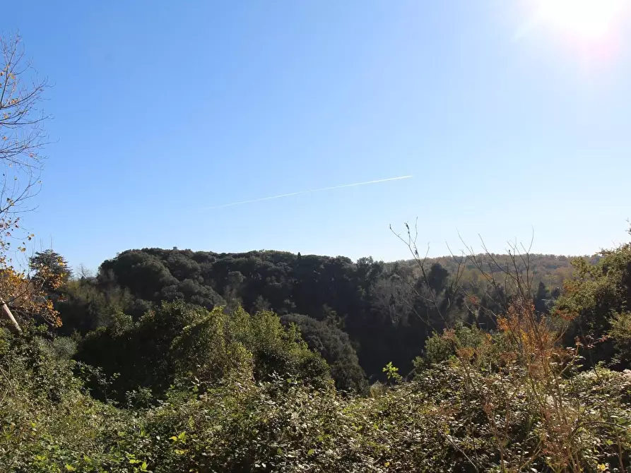 Immagine 4 di Rustico / casale in vendita  a Crespina Lorenzana
