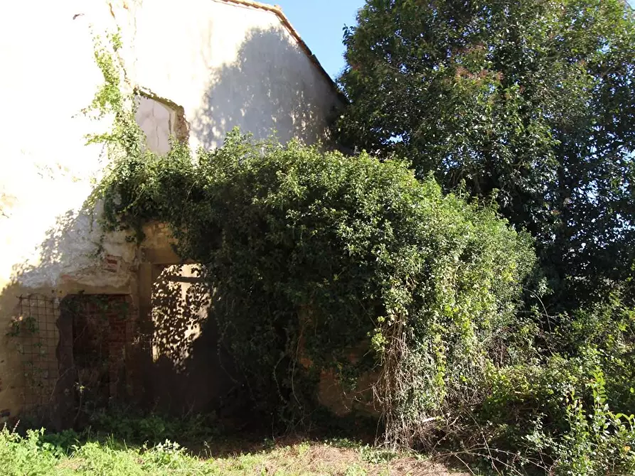 Immagine 3 di Rustico / casale in vendita  a Crespina Lorenzana