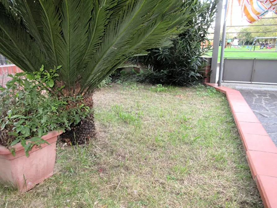 Immagine 12 di Terratetto in vendita  a Empoli