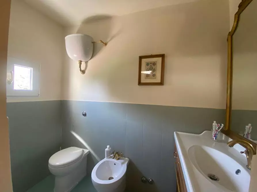 Immagine 22 di Villa in vendita  a Fauglia