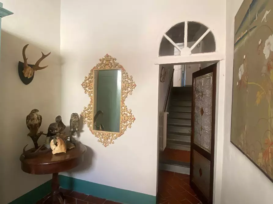 Immagine 3 di Villa in vendita  a Fauglia