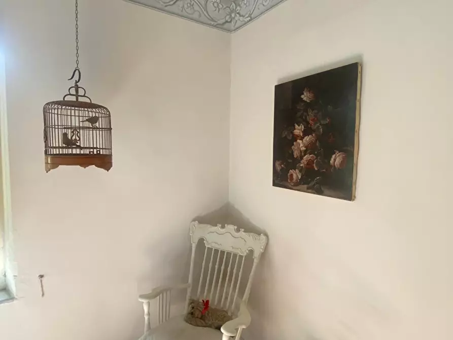 Immagine 14 di Villa in vendita  a Fauglia