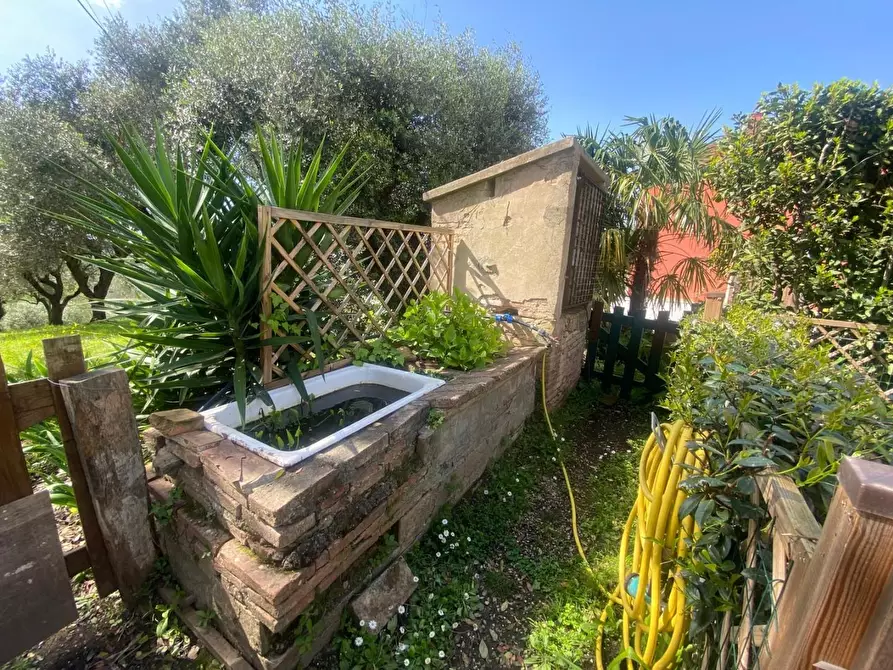 Immagine 25 di Villa in vendita  a Fauglia