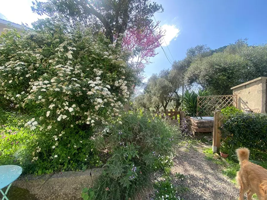 Immagine 26 di Villa in vendita  a Fauglia