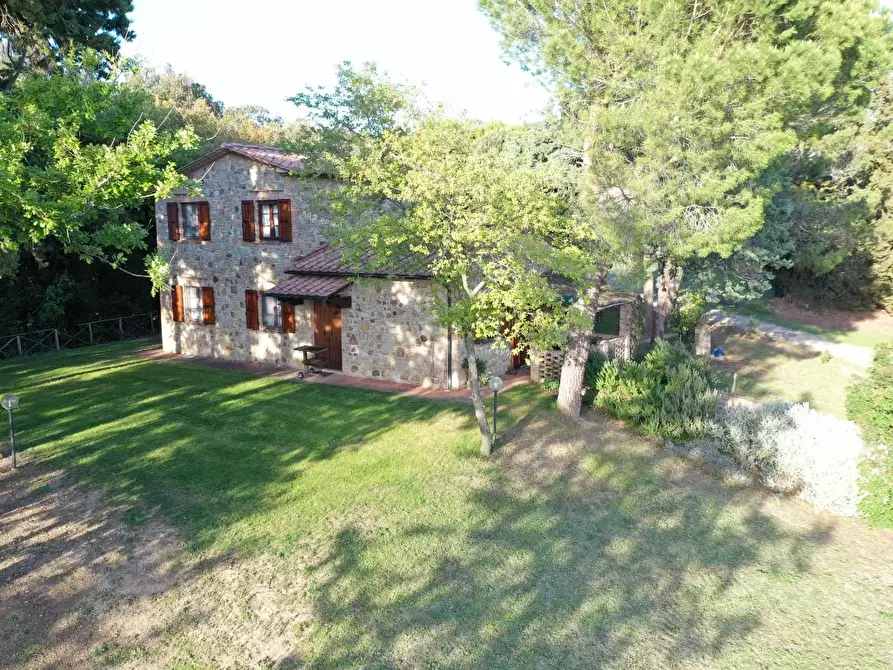 Immagine 26 di Azienda agricola in vendita  a Volterra