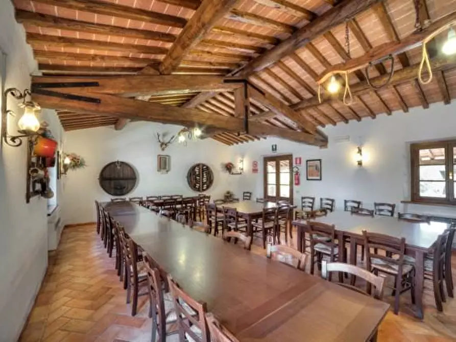Immagine 11 di Azienda agricola in vendita  a Volterra