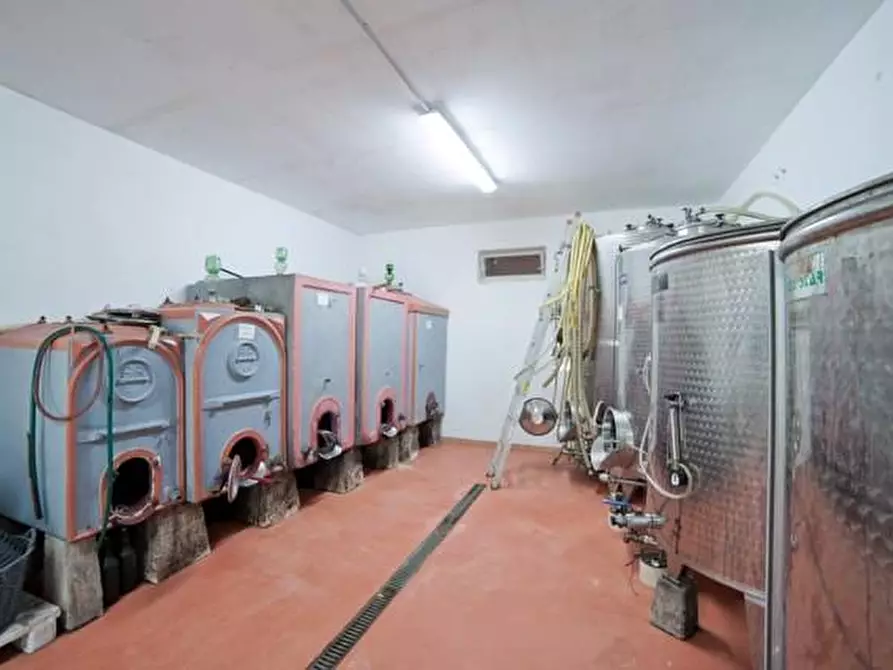 Immagine 14 di Azienda agricola in vendita  a Volterra