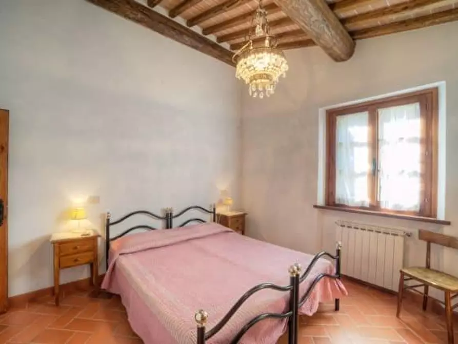 Immagine 25 di Azienda agricola in vendita  a Volterra