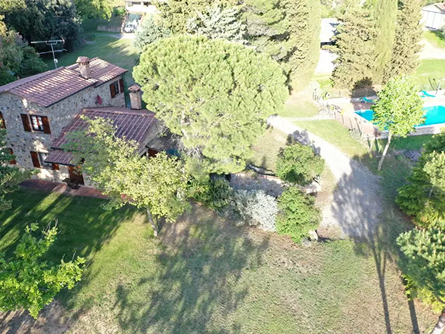 Immagine 27 di Azienda agricola in vendita  a Volterra