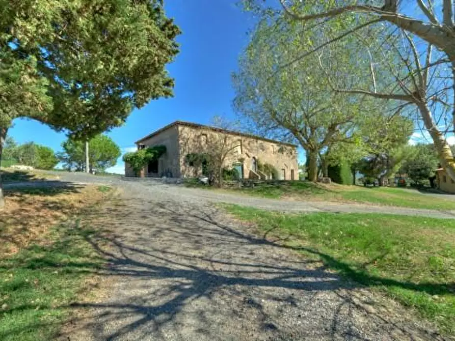 Immagine 8 di Azienda agricola in vendita  a Volterra