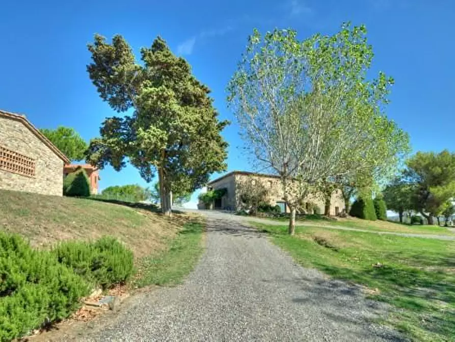 Immagine 16 di Azienda agricola in vendita  a Volterra