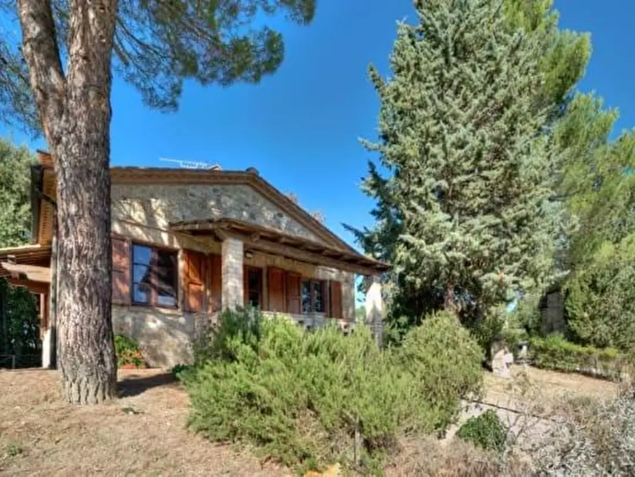 Immagine 19 di Azienda agricola in vendita  a Volterra