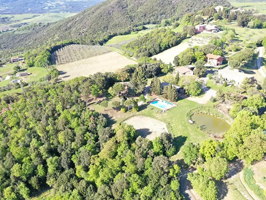 Immagine 1 di Azienda agricola in vendita  a Volterra