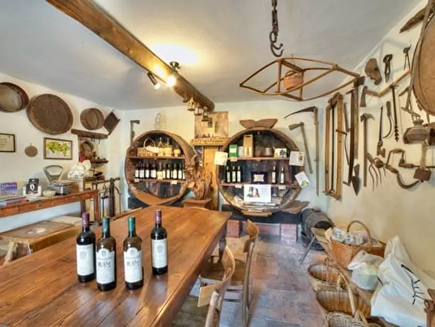 Immagine 13 di Azienda agricola in vendita  a Volterra