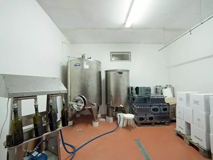 Immagine 15 di Azienda agricola in vendita  a Volterra