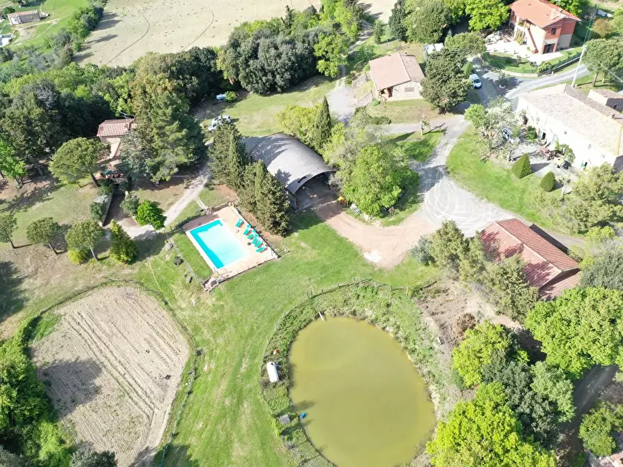 Immagine 3 di Azienda agricola in vendita  a Volterra