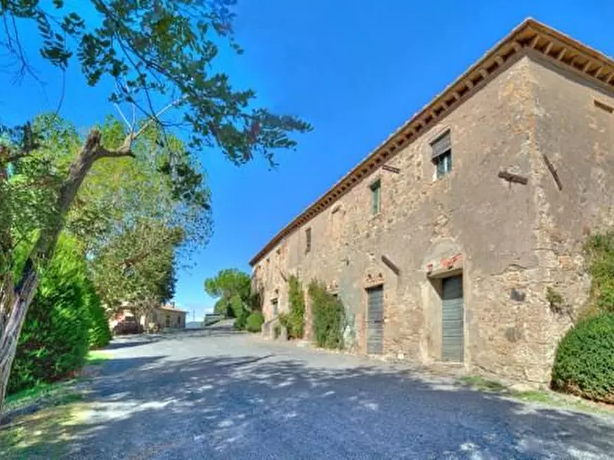 Immagine 6 di Azienda agricola in vendita  a Volterra