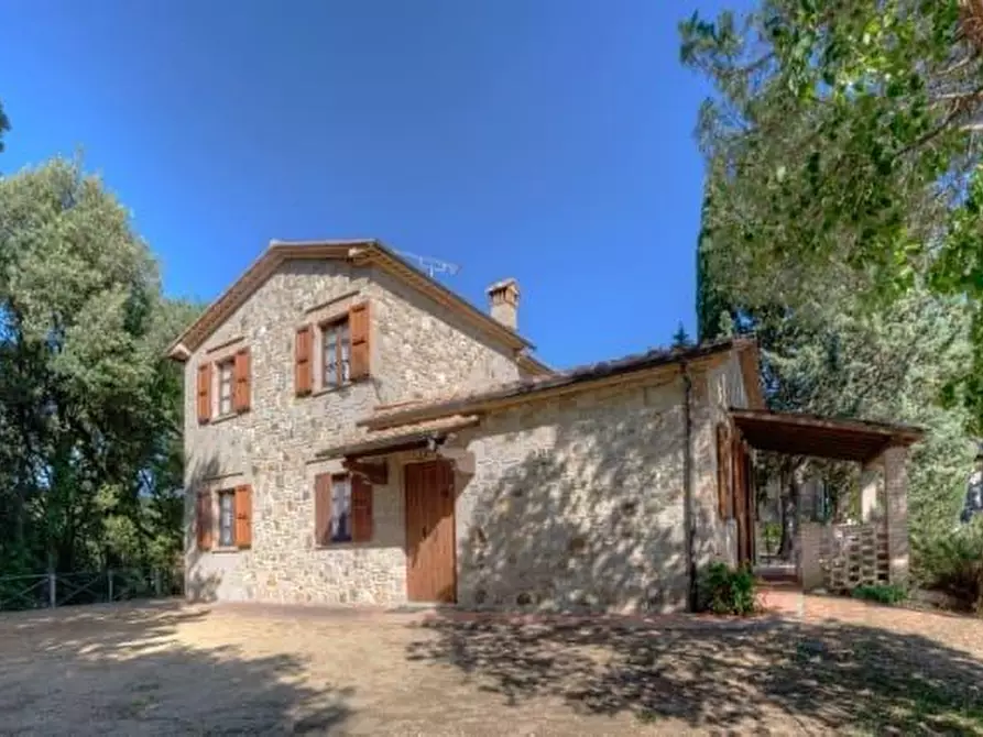 Immagine 17 di Azienda agricola in vendita  a Volterra