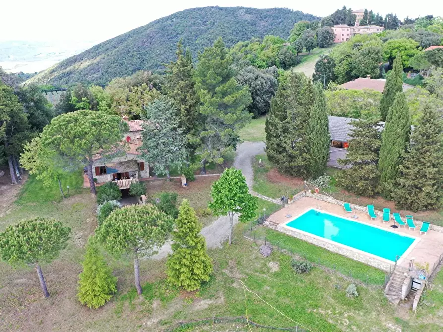 Immagine 4 di Azienda agricola in vendita  a Volterra