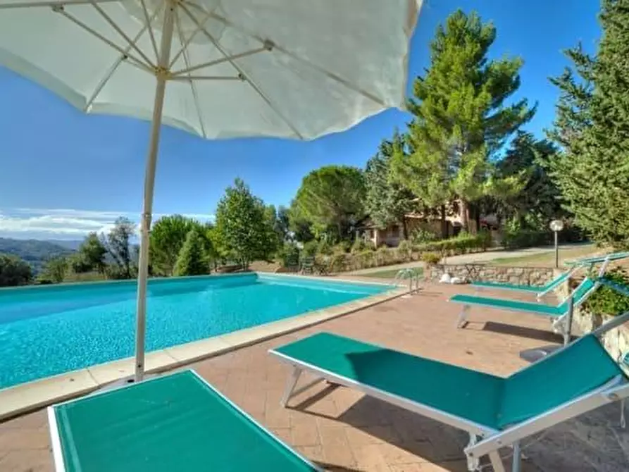 Immagine 30 di Azienda agricola in vendita  a Volterra