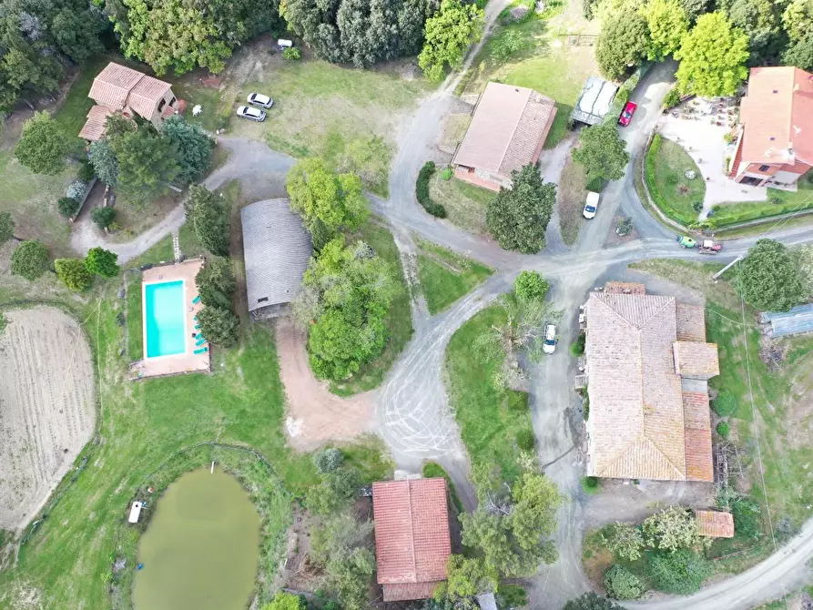 Immagine 2 di Azienda agricola in vendita  a Volterra