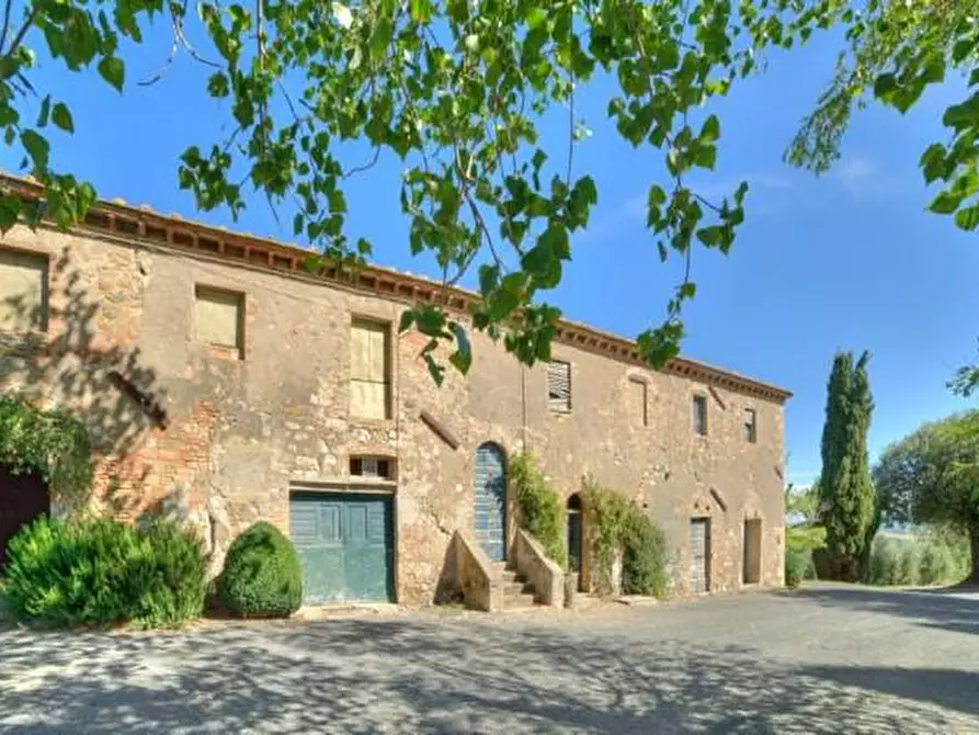Immagine 7 di Azienda agricola in vendita  a Volterra