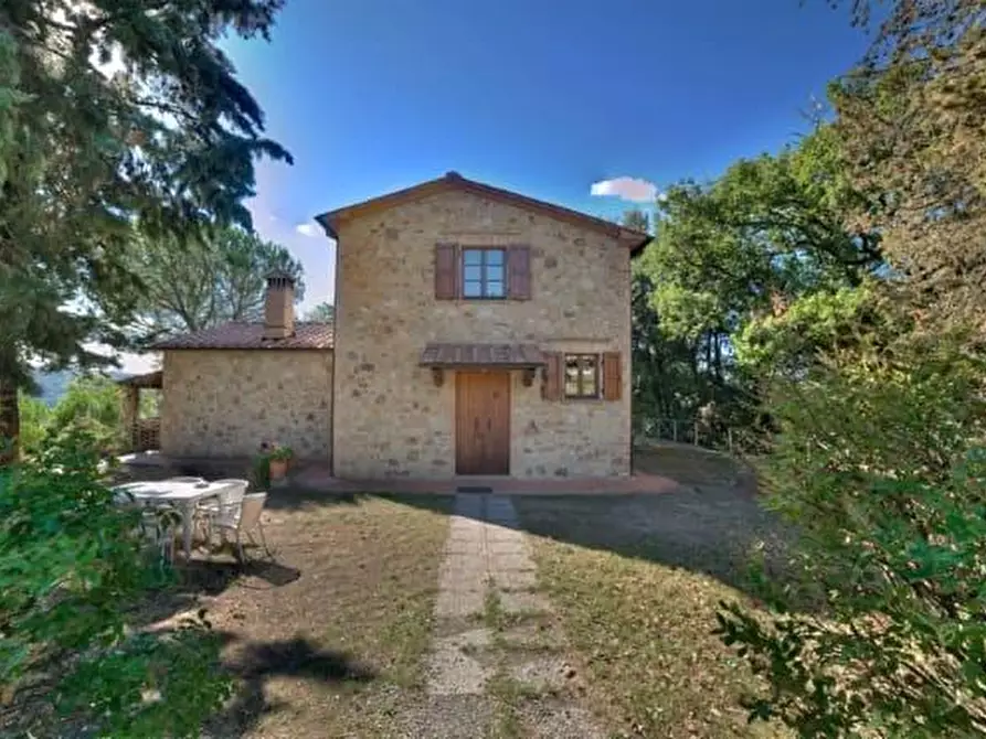 Immagine 18 di Azienda agricola in vendita  a Volterra