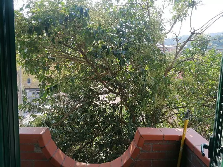 Immagine 4 di Appartamento in vendita  a Carrara