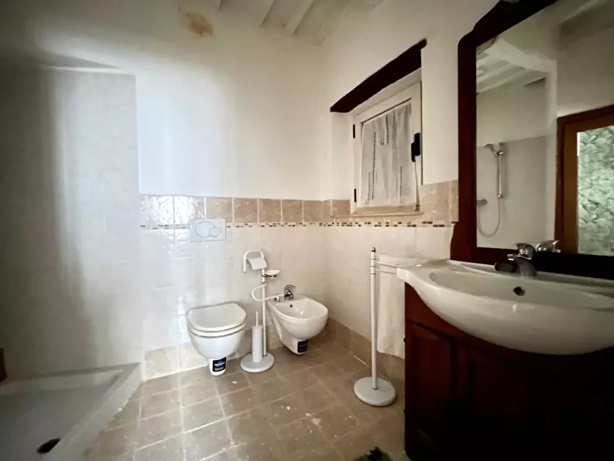 Immagine 9 di Appartamento in vendita  a Rapolano Terme